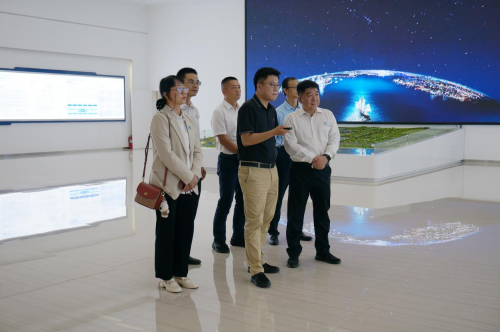 图片6