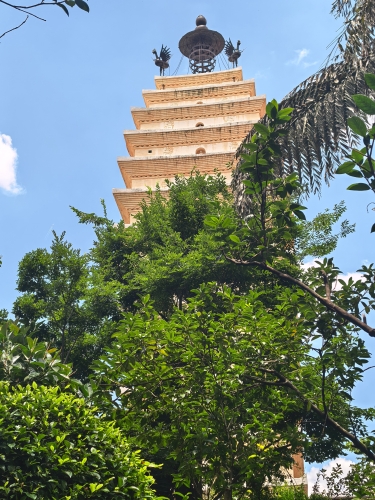 微信图片_20260708133104_224_13